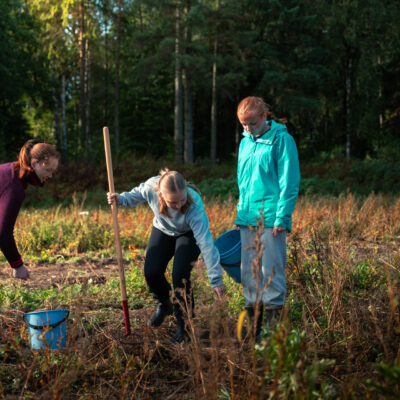 2026-09-16_SkoleprogramJordvern-Tombvgs-23