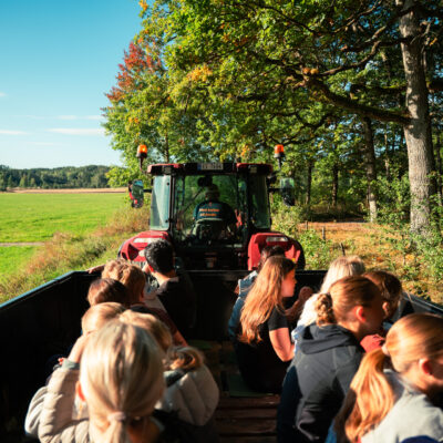 2026-09-16_SkoleprogramJordvern-Tombvgs-6
