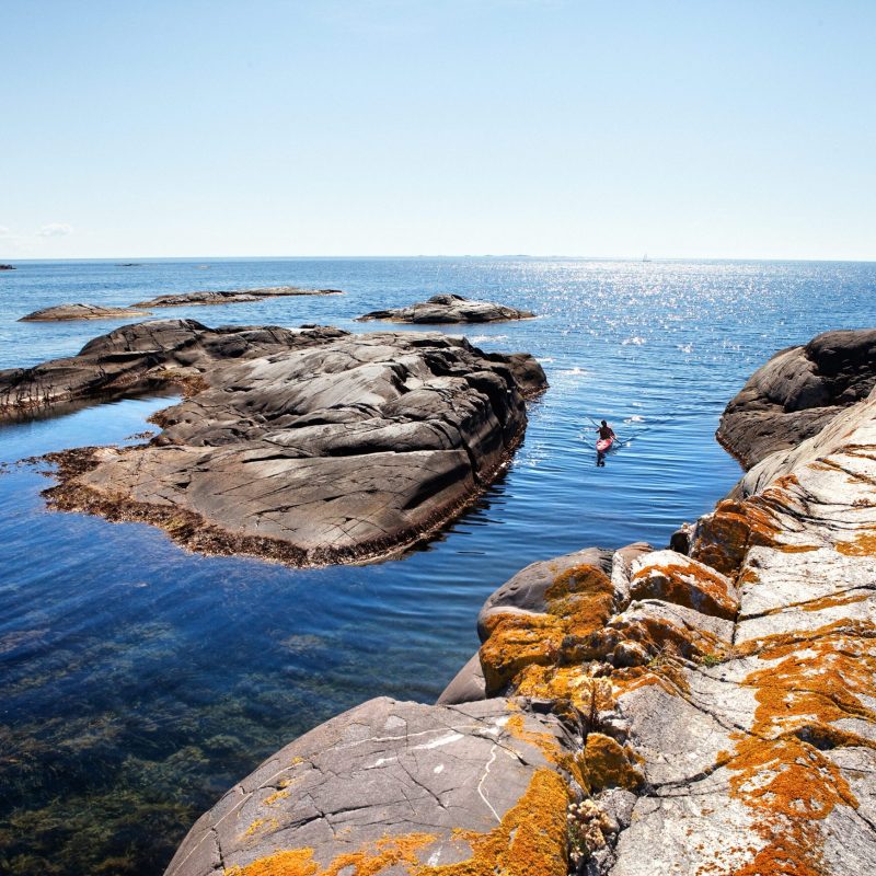 Roger BorgelidWestsweden.com 4