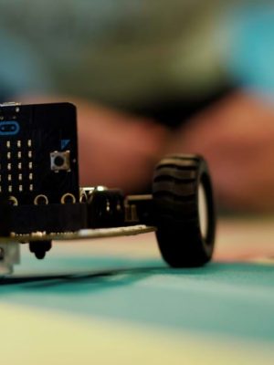 bitbot_1